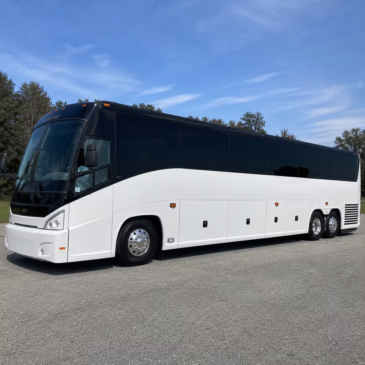 wedding party transfers to lakeview park and lake erie venues